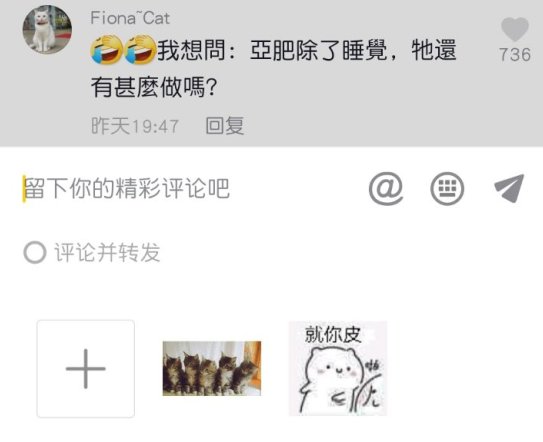 抖音评论怎么发表情包 抖音5只小猫表情包怎么弄