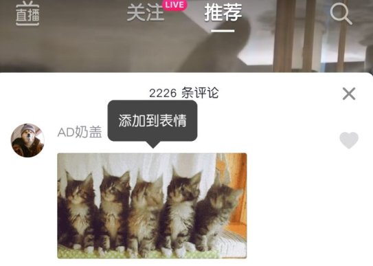 抖音评论怎么发表情包 抖音5只小猫表情包怎么弄